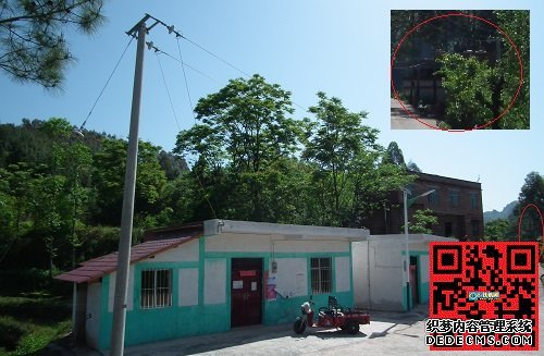 重庆开州区金峰镇一贫困户住窝棚无人管!
