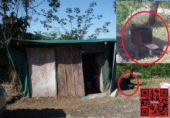 ƶ����ס�������˹ܻ������,���ݸ�������ķ徹�������