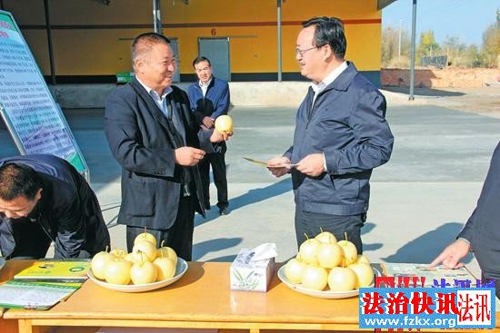 ίǻٹ50գΪ
