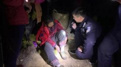 江西兴国老人深山砍柴受伤被困，警民合力及时营救