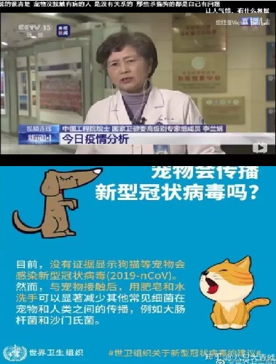 李兰娟院士及其家族的95家公司