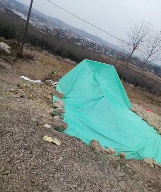 有钱就嚣张任性?!原上市公司董事长强占耕地葬母,还棒打村民