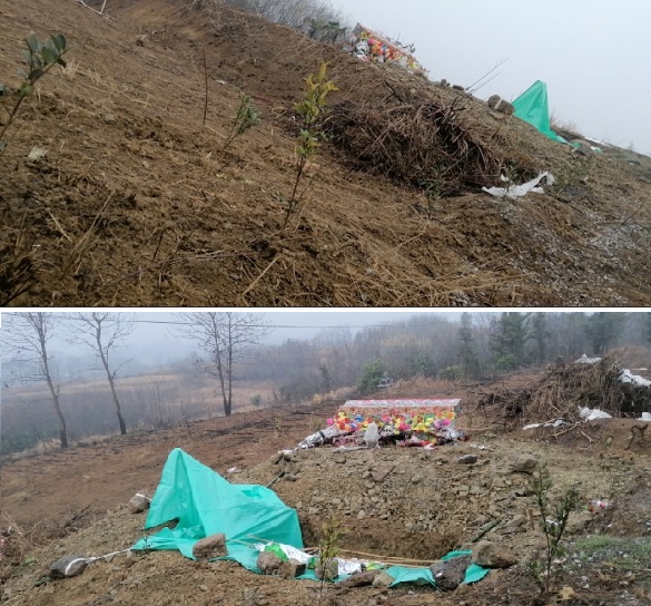 湖南邵东市富商杨宗昌强占耕地葬母还棒打村民为啥无人管