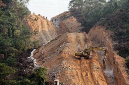 国家多部门合力守护林草资源,观音山原始次森林2000亩被破坏该有