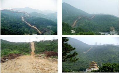 国家多部门合力守护林草资源,观音山原始次森林2000亩被破坏该有