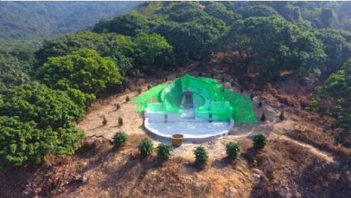 国家多部门合力守护林草资源,观音山原始次森林2000亩被破坏该有