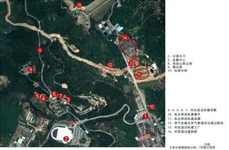 国家多部门合力守护林草资源,观音山原始次森林2000亩被破坏该有