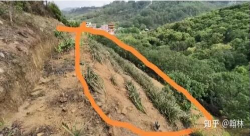 国家多部门合力守护林草资源,观音山原始次森林2000亩被破坏该有