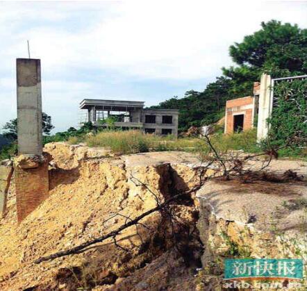 国家多部门合力守护林草资源,观音山原始次森林2000亩被破坏该有
