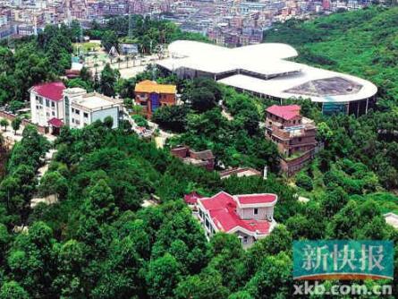 国家多部门合力守护林草资源,观音山原始次森林2000亩被破坏该有