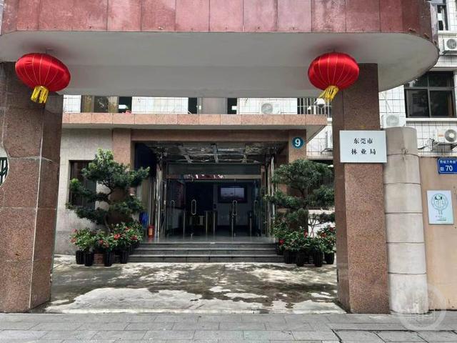 东莞市樟木头镇镇长芦湛:年初说的逐步解决观音山问题,解决了吗