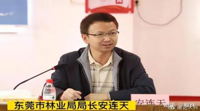 东莞市樟木头镇镇长芦湛:年初说的逐步解决观音山问题,解决了吗