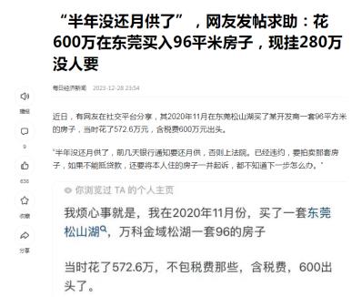 东莞市樟木头镇镇长芦湛:年初说的逐步解决观音山问题,解决了吗