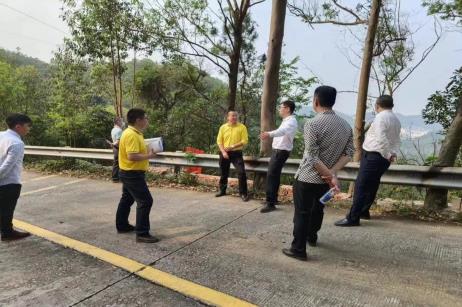 东莞市樟木头镇镇长芦湛:年初说的逐步解决观音山问题,解决了吗