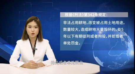 广东佛山南海区丹灶镇荷村民呼声之三:“永久保护田”填垃圾,谁
