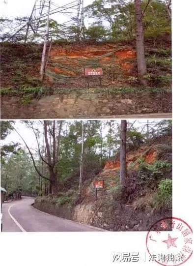 观音山向中央巡视组反映情况,东莞市四部门回复依旧差强人意