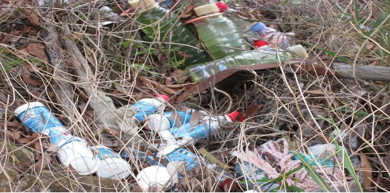 观音山向中央巡视组反映情况,东莞市四部门回复依旧差强人意