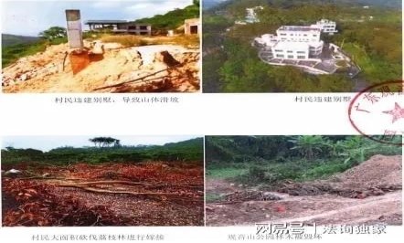 观音山向中央巡视组反映情况,东莞市四部门回复依旧差强人意