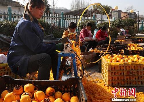 资料图:柿子深加工助力陕西陇县范家营村脱贫。记者 宋吉河 摄 中国加大对深度贫困地区的扶持力度 民政部重点支持三区三州