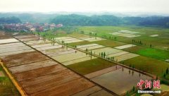 ũҵũ�岿��ũ��а���ȷȨ�Ǽǰ�֤������β�׶�