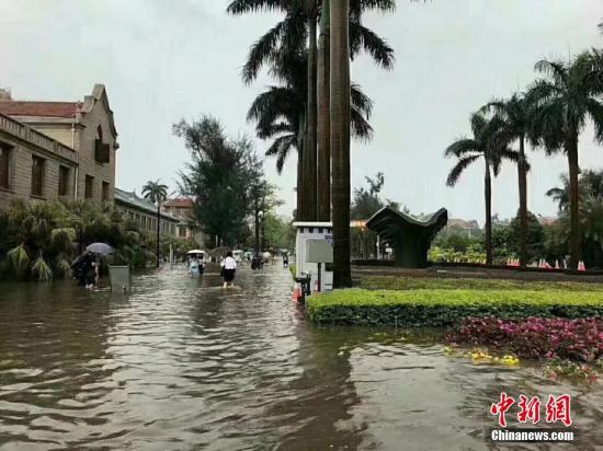 5月7日,厦门市遭暴雨袭击。图为厦大西门内。 陈中坚 摄 江南东部华南将有强降雨 福建广东广西局地大暴雨
