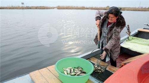 揭秘雄安未来会建成什么样?产业如何布局?