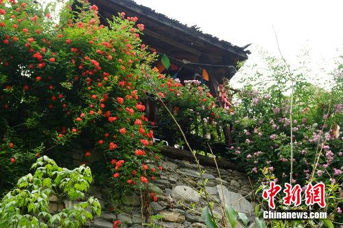 如今的甘堡藏寨景色。记者 宋宇晟 摄 历经5·12地震的这座藏寨,十年间发生了怎样的变迁