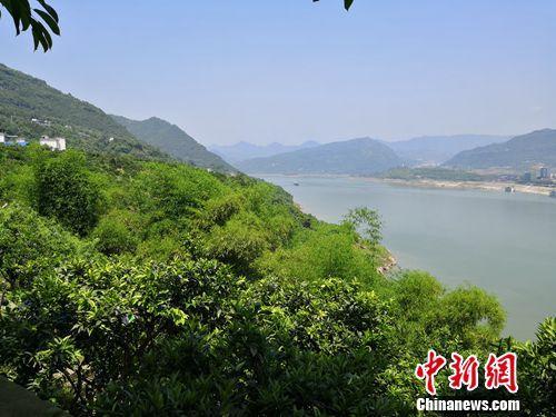 覆盖长江两岸的绿色生态屏障。 于晓 摄 关键期+攻坚期+窗口期 习近平为“美丽中国”划重点