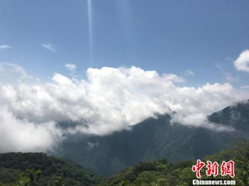 资料图:贵州省铜仁梵净山自然保护区。冷桂玉 摄 关键期+攻坚期+窗口期 习近平为“美丽中国”划重点